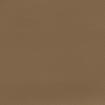 Leon Cognac