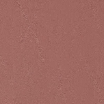 Allante Cinnamon
