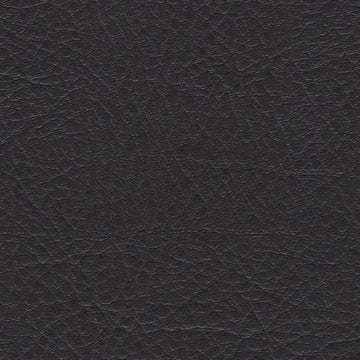 Allegro Coal