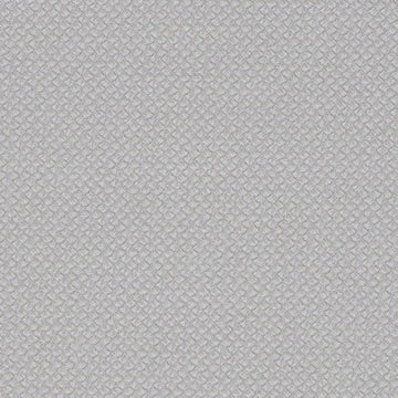 Apex Steel Silver