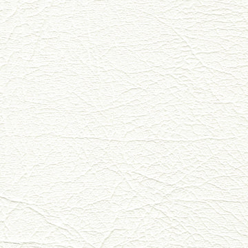 Aries Brilliant White