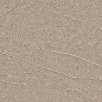 Aries Sand Dollar