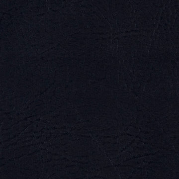 Biscayne Black