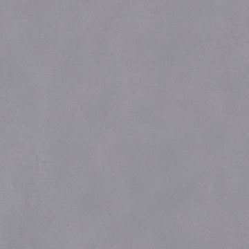 Biscayne Cool Grey