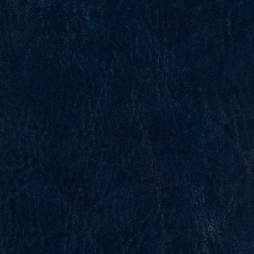 Biscayne Navy
