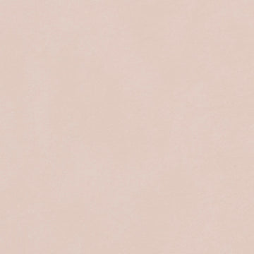 Biscayne Beige