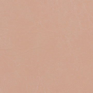 Biscayne Sand Tan