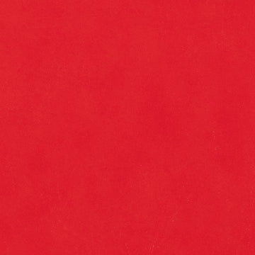 Biscayne Fire Red