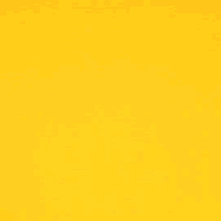 Catalina Sun Gold