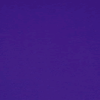 Catalina Twilight Purple