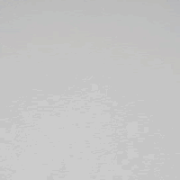Catalina Dolphin
