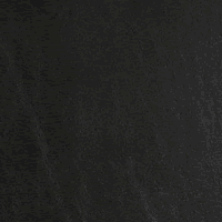 Catalina Orca Black