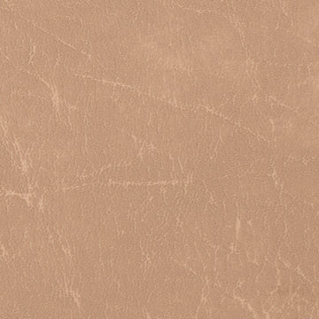 Carrara Parchment