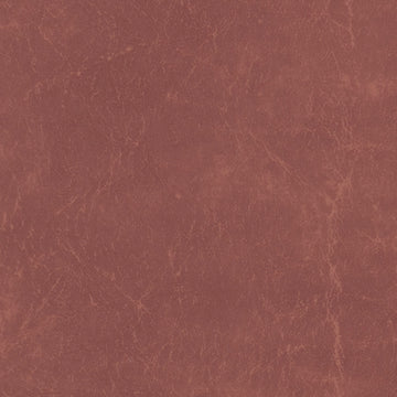 Carrara Buck