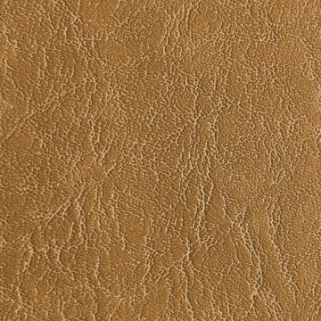 Carrara Wheat