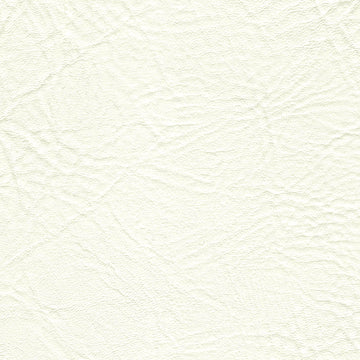 Heidi Brilliant White