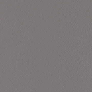 Longitude Dk Titanium