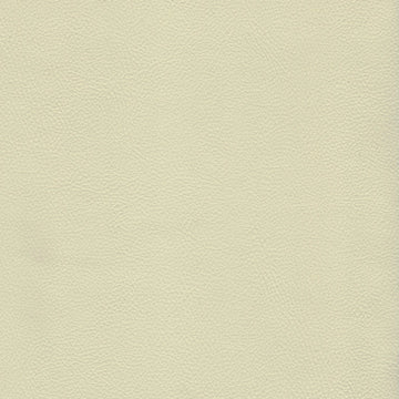 Marlin Ivory
