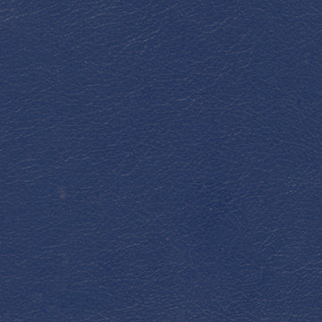 Navigator Celestial