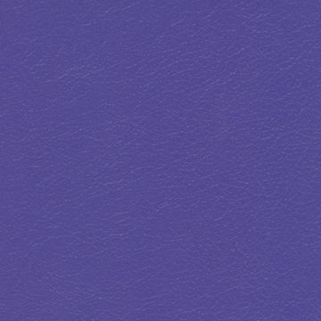 Navigator Purple Passion