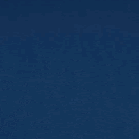 Newport Midnight