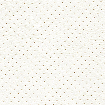 Orion Brilliant White