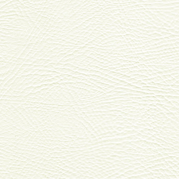 Pegasus Brilliant White