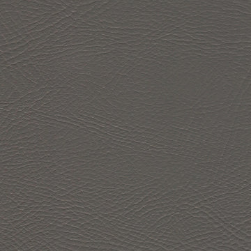 Pegasus Gunmetal