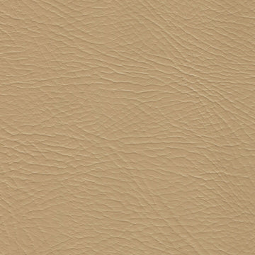 Pegasus Sand Dollar