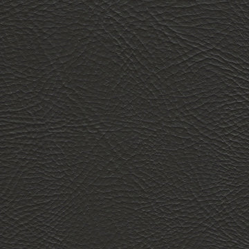 Pegasus Ebony