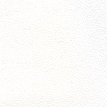 Protege White