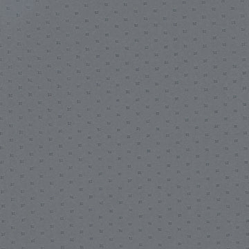 Polaris Gunmetal