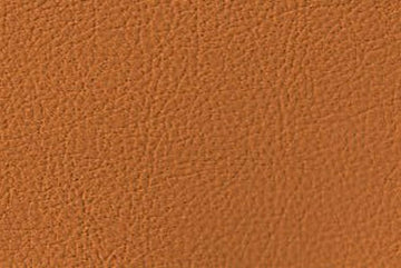 Prodigy Ochre