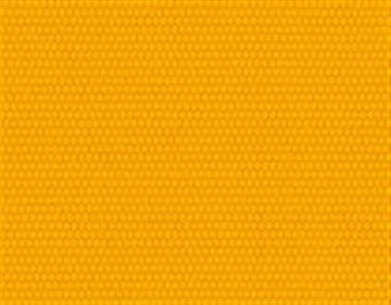 Tempotest Starlight FR Sunflower 60"