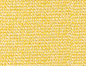 Tempotest Sunshine 47"