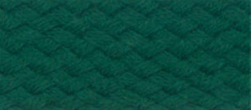 Tempotest Awning Braid 7/8IN Forest 5