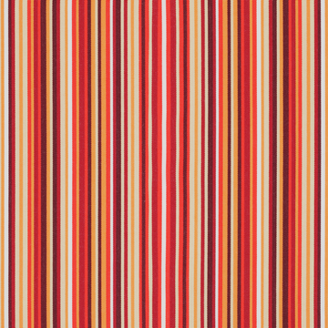 Tempotest Home Topsail Autumn 60"