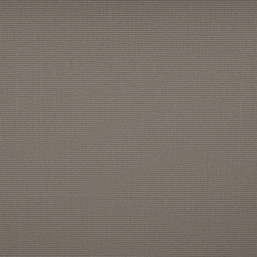 Tempotest Home Donatello Nickel 57"