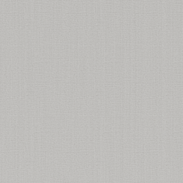 Tempotest Home Silver 120"