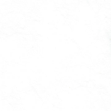Zander Pure White