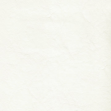 Zander Brilliant White