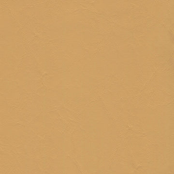 Zander Dune