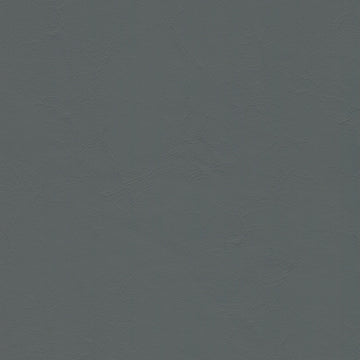 Zander Dove Grey