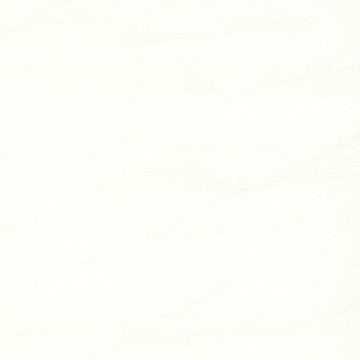Armada Pure White