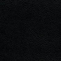 Allsport Black