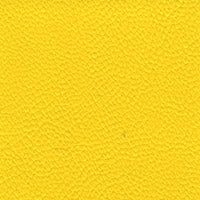 Allsport Nu Bright Yellow