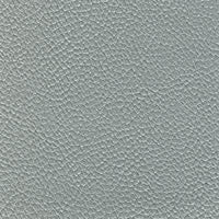 Allsport Silver Metallic