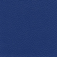 Allsport Royal Blue