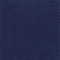 Allsport Electric Blue