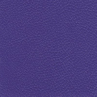 Allsport Bright Violet